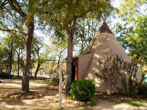 Yellow Flower Tipis 5 on Guadalupe River